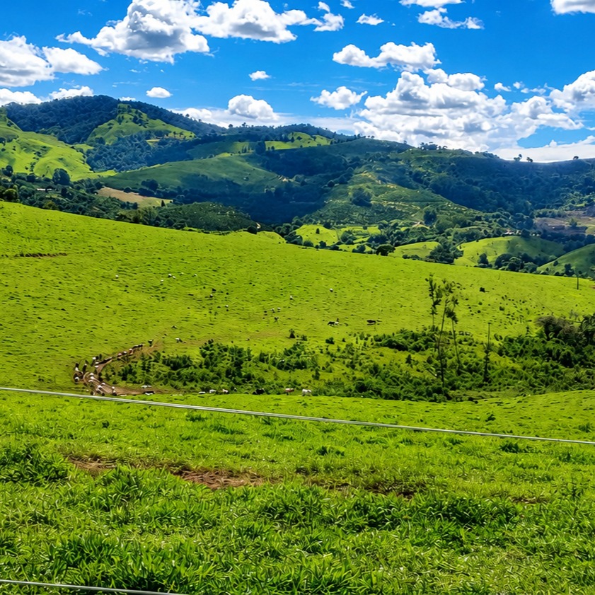 Foto do anúncio: fazenda em Poços de Caldas