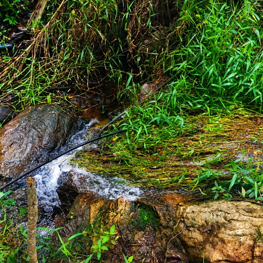 Foto do anúncio: fazenda em Jacutinga