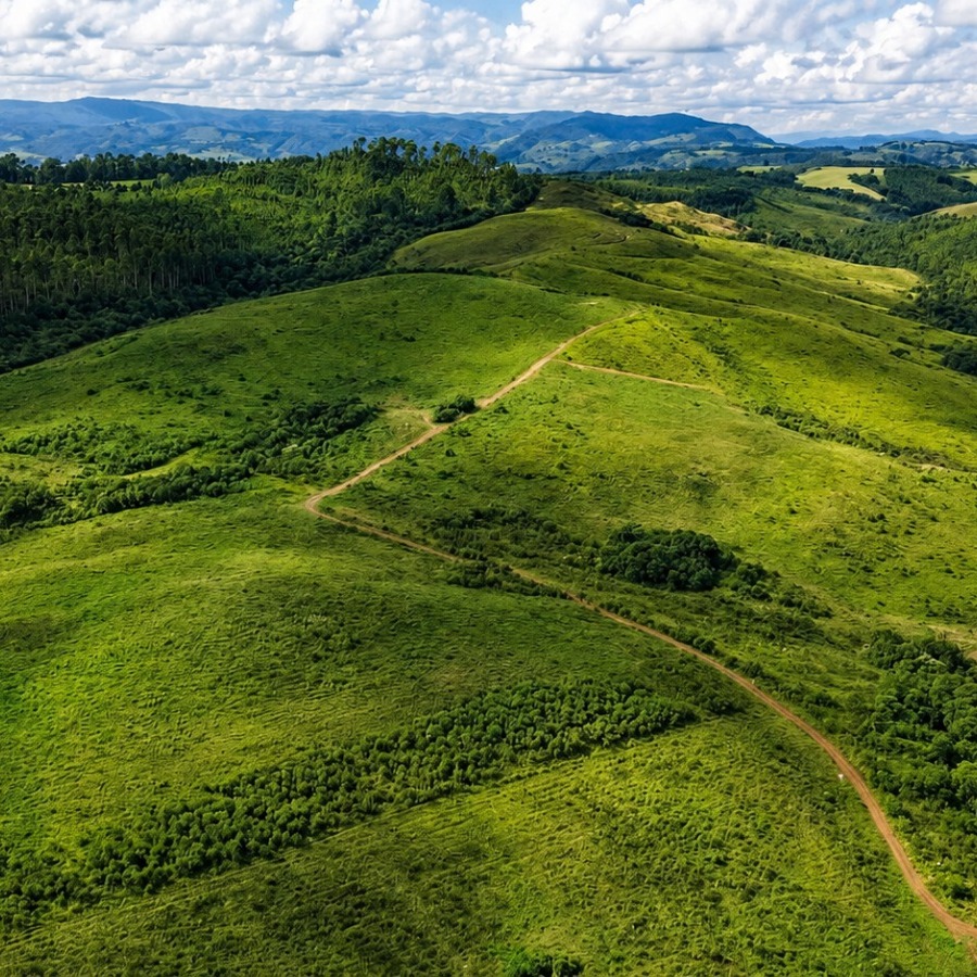 Foto do anúncio: imóvel rural em Caldas