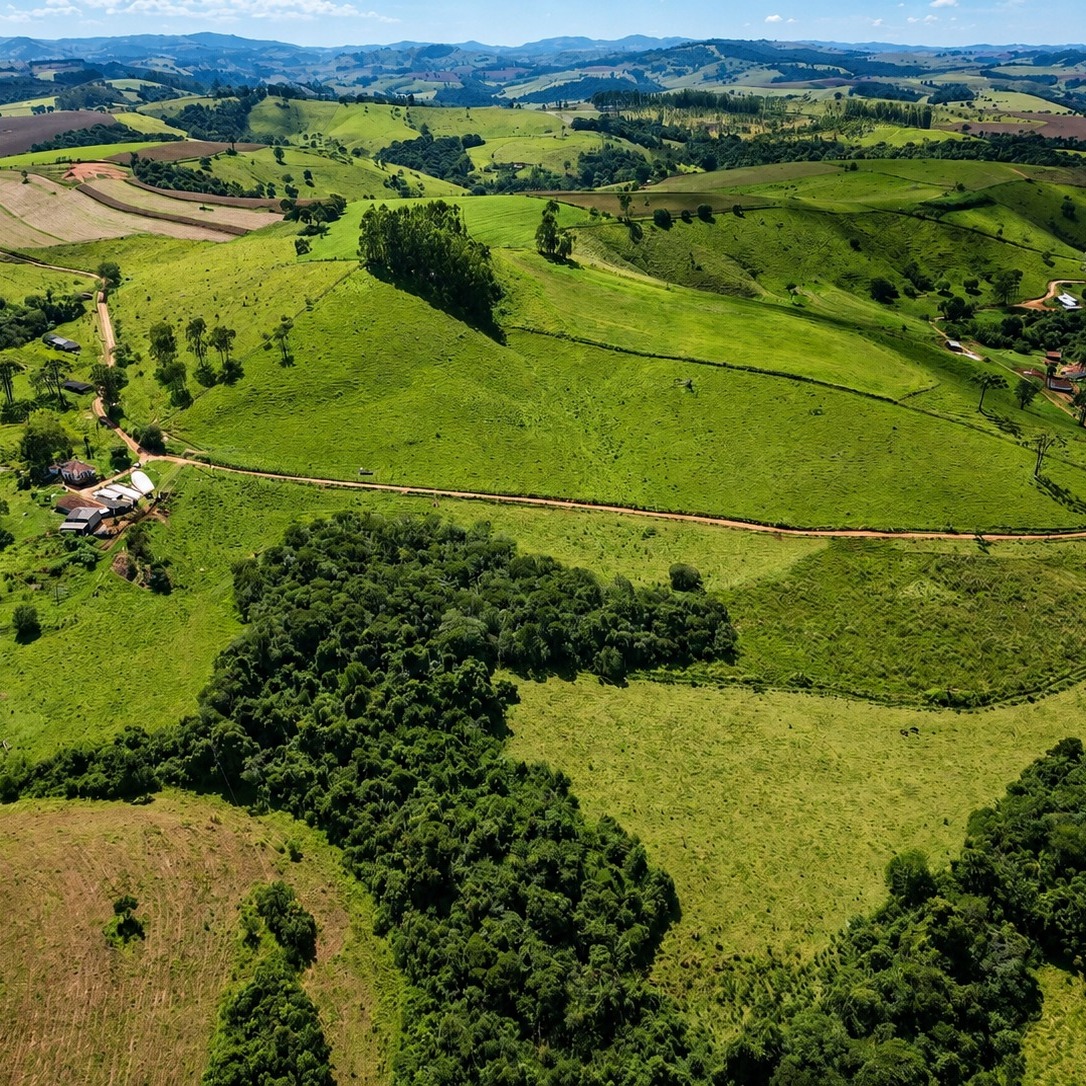 Foto do anúncio: sítio em Caldas