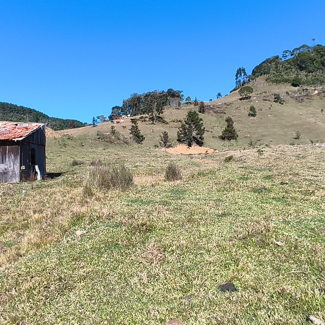 Foto do anúncio: área rural em Alfredo Wagner