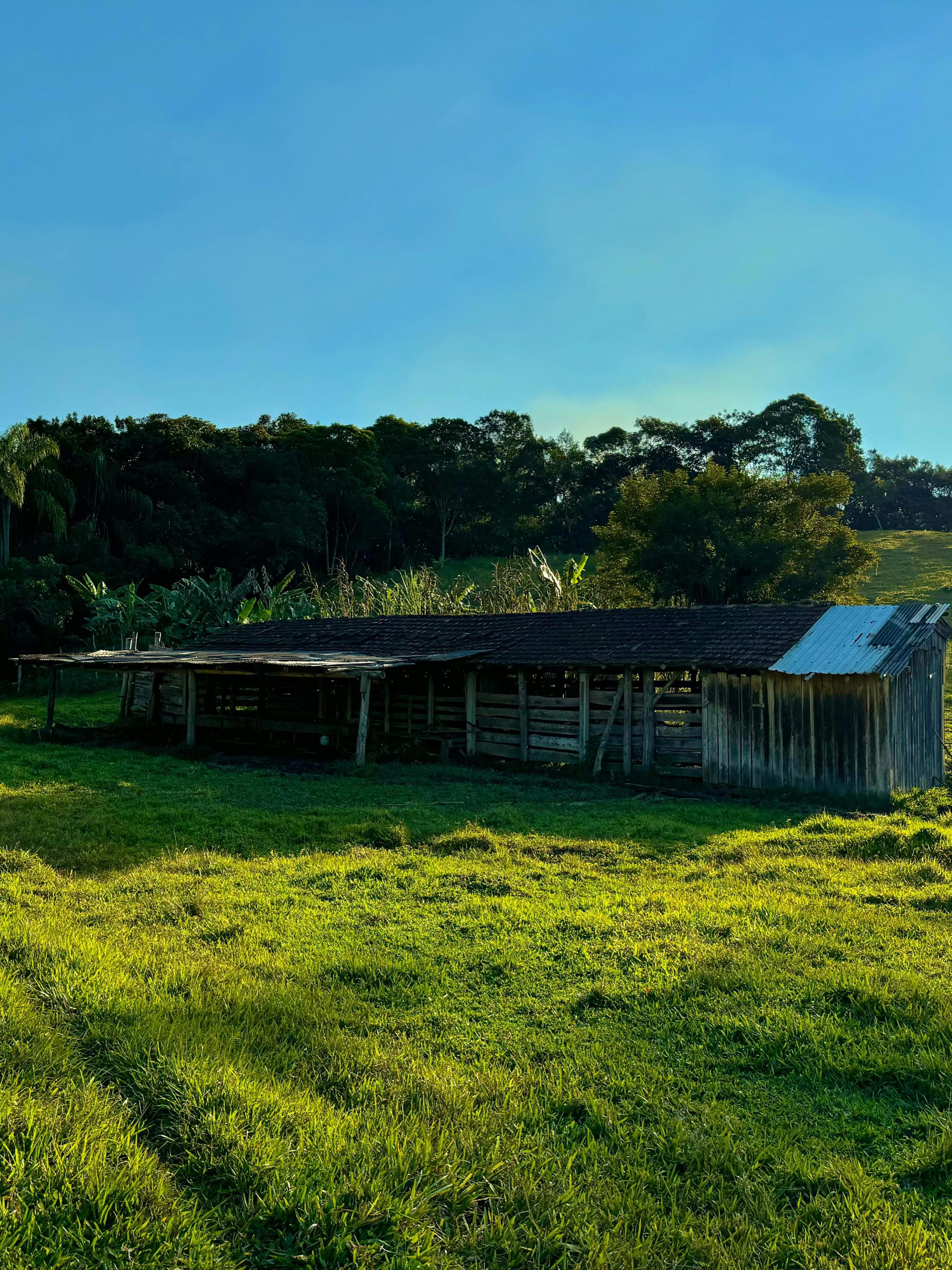 Foto do anúncio: área rural em Canelinha
