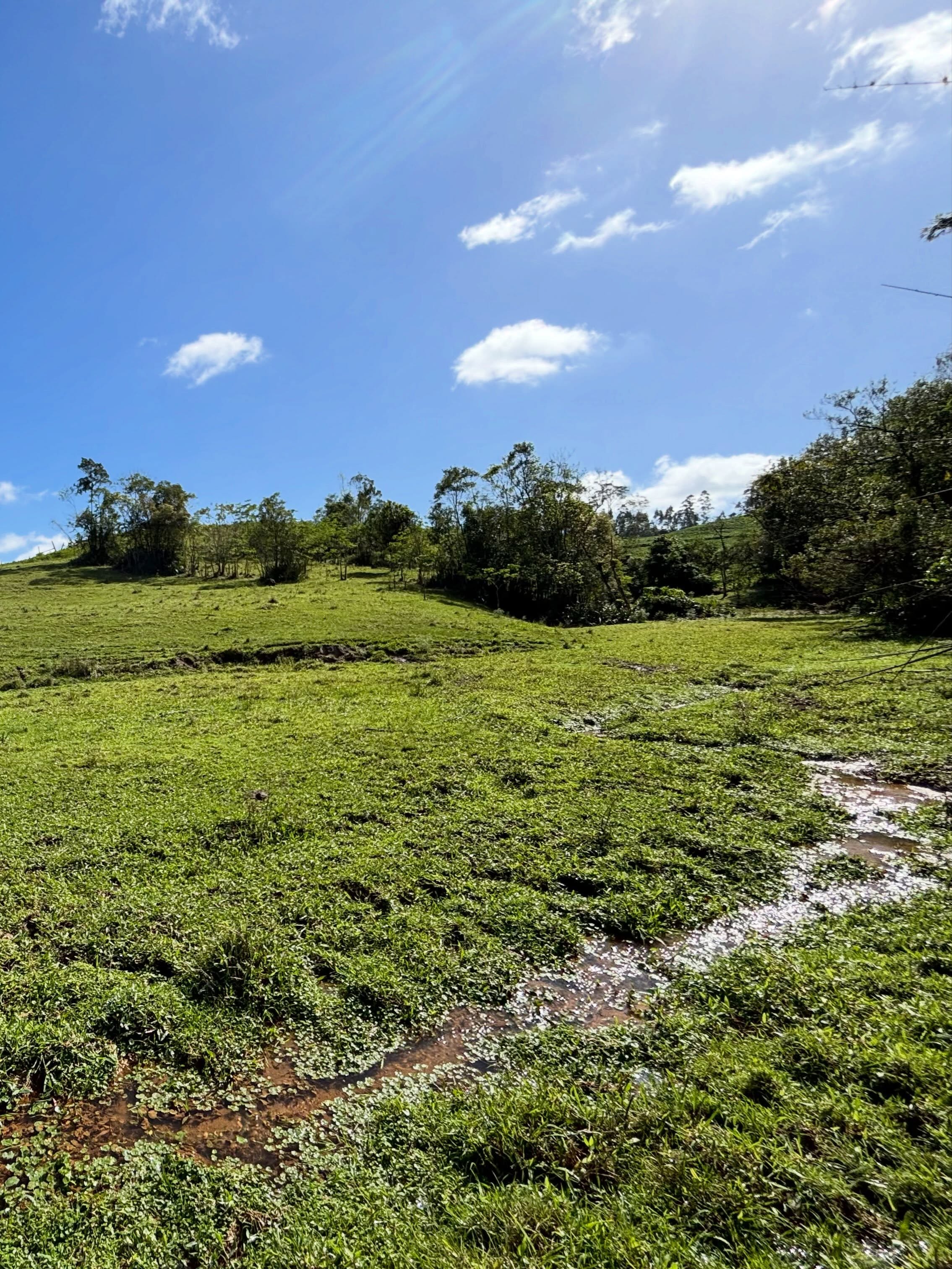 Foto do anúncio: imóvel rural em Urussanga