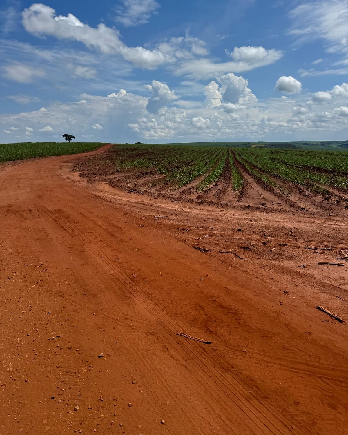 Foto do anúncio: área rural em Araraquara